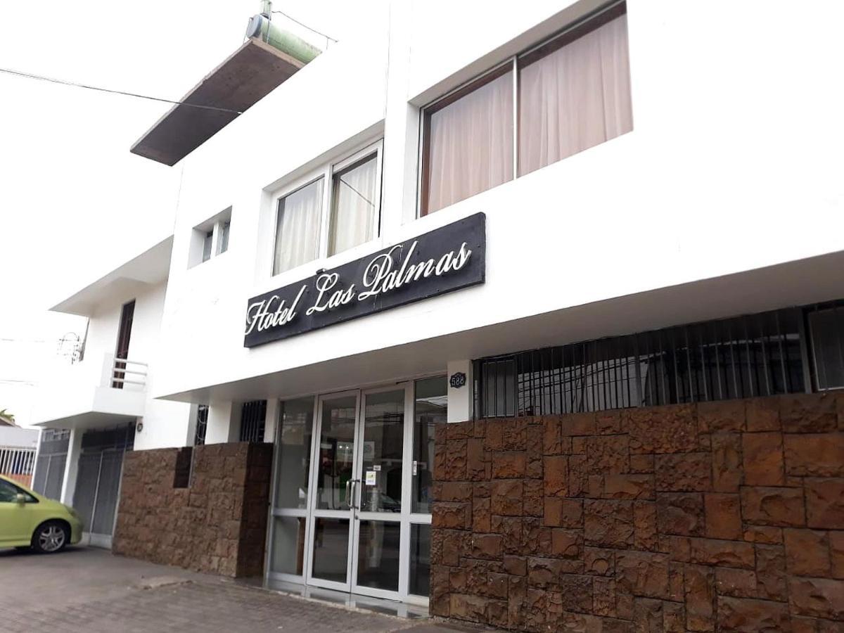 Hotel Las Palmas Arica Bagian luar foto