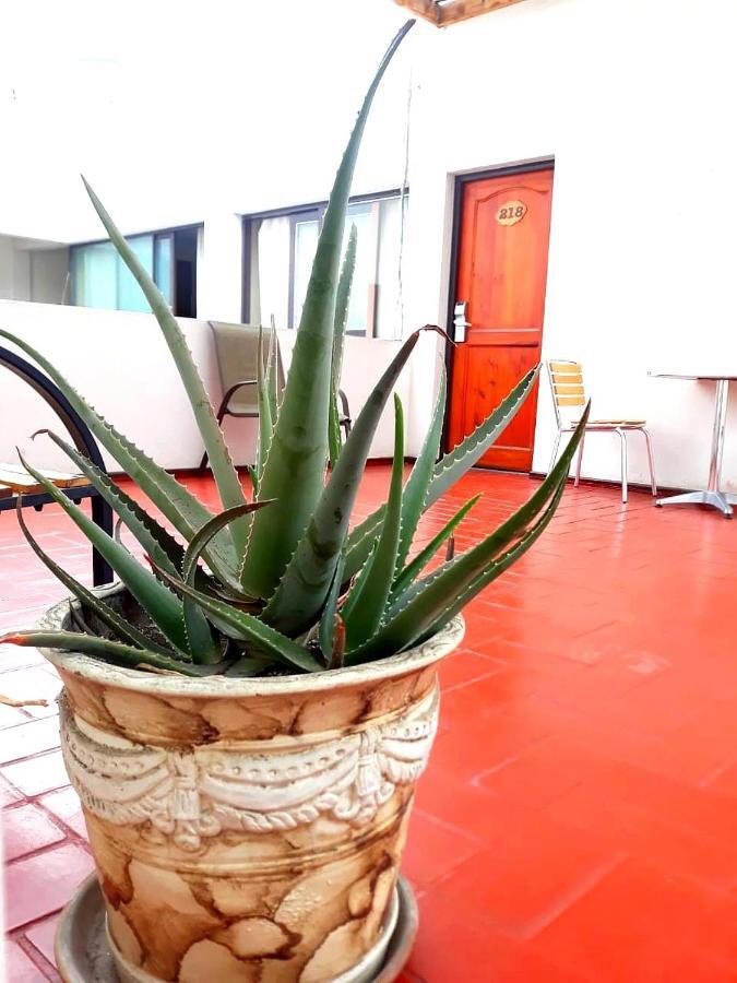 Hotel Las Palmas Arica Bagian luar foto